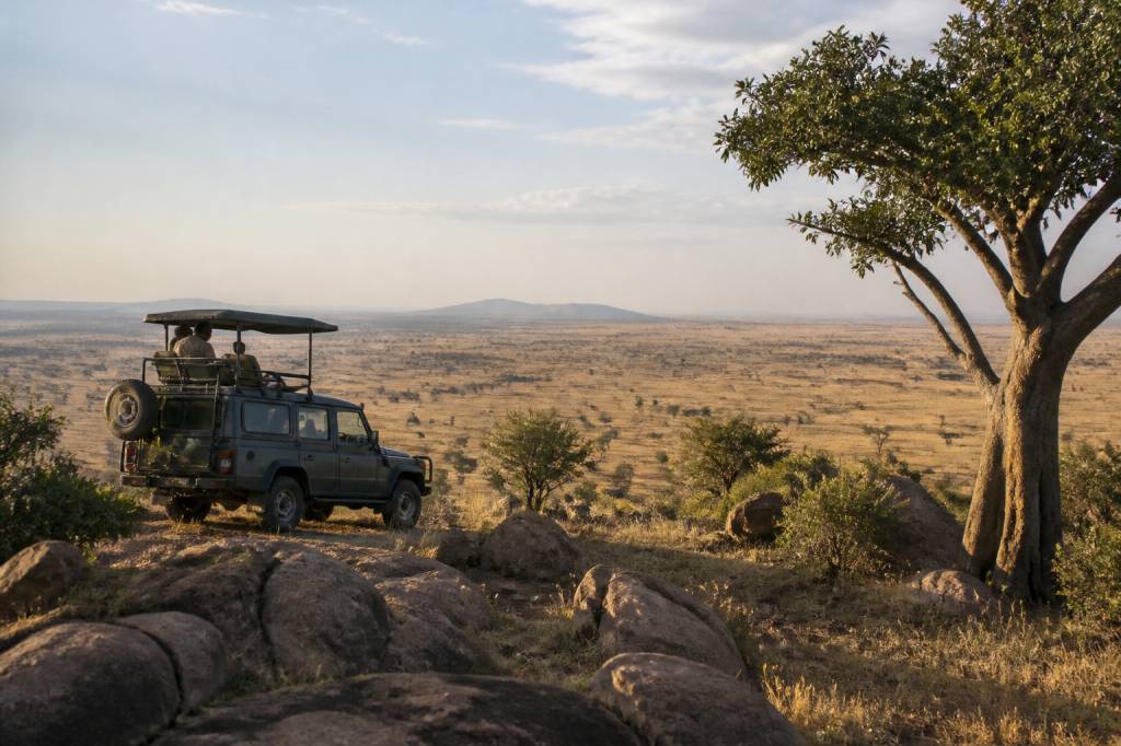 Hors pistes en Tanzanie : vivre un safari loin des sentiers battus